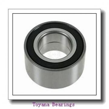 Toyana NP20/1250 cylindrical roller bearings