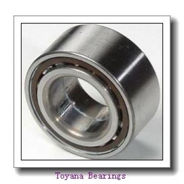Toyana TUP1 45.25 plain bearings
