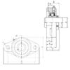 12 mm x 60 mm x 31 mm  ISO UCFL201 bearing units #2 small image