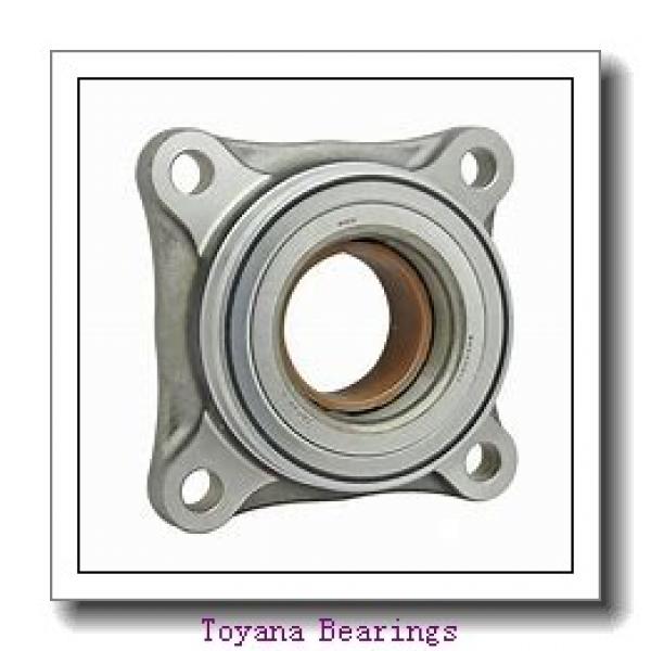 Toyana RNAO45x55x17 cylindrical roller bearings #2 image